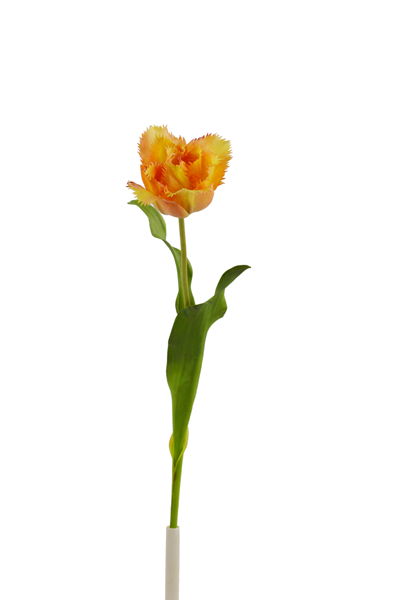 161609_.jpg