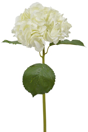 162010_.jpg