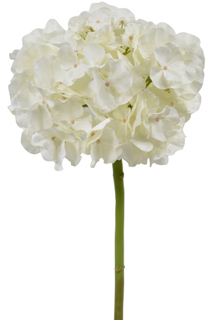 162011_.jpg