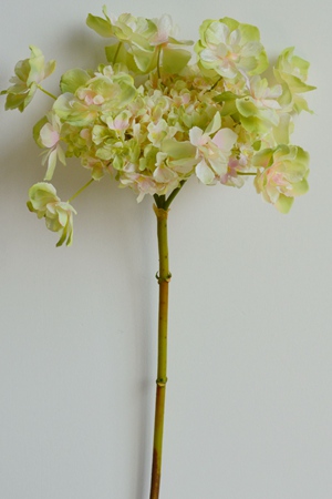 162012_.jpg